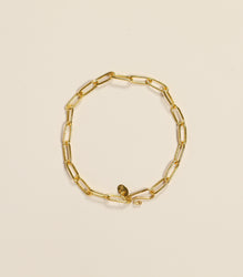 Clip Link Chain