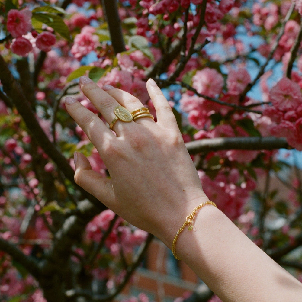 Roman Planished Chain